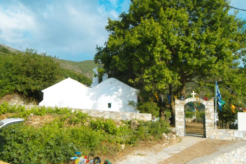 White church surrounded by greenery.